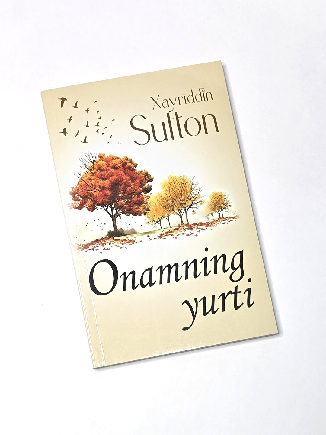 Онамнинг юрти, Хайриддин Султан — фото 1