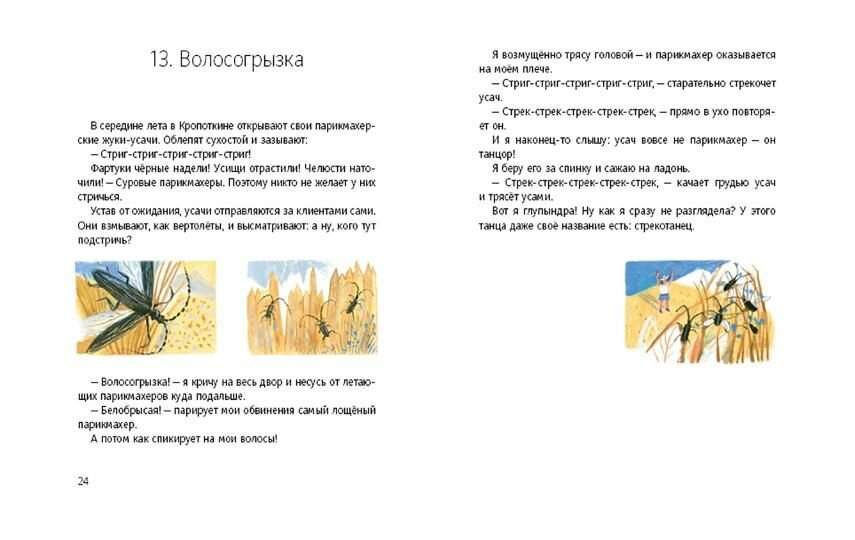 Кедровый слоник (Анисимова Анна Павловна) - фото №6