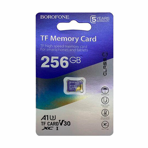 Карта памяти 256Gb microSDHC C10 Borofone карта памяти microsdhc borofone i 8gb синий