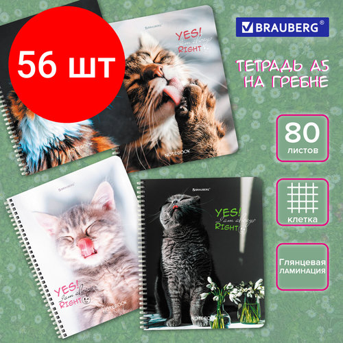 Комплект 56 шт, Тетрадь А5 80 л. BRAUBERG, гребень, клетка, глянцевая ламинация, Довольные Коты (4 вида в спайке), 404417