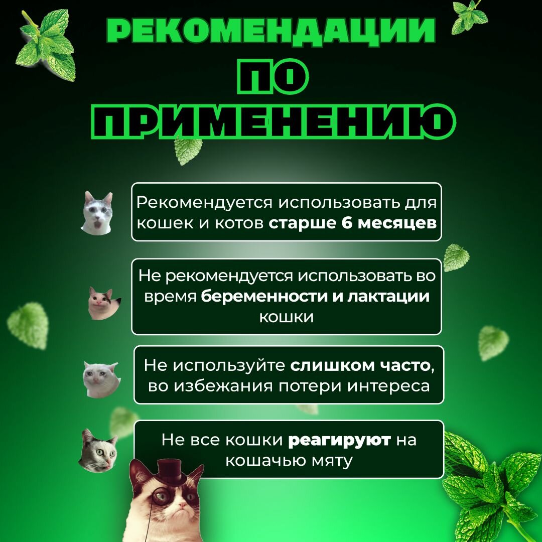 Кошачья мята / Шарик с кошачьей мятой на стену / Лакомство для кошек — фото 1