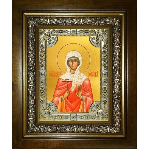 Икона Анисия Солунская святая икона святая анисия солунская 10х13 см