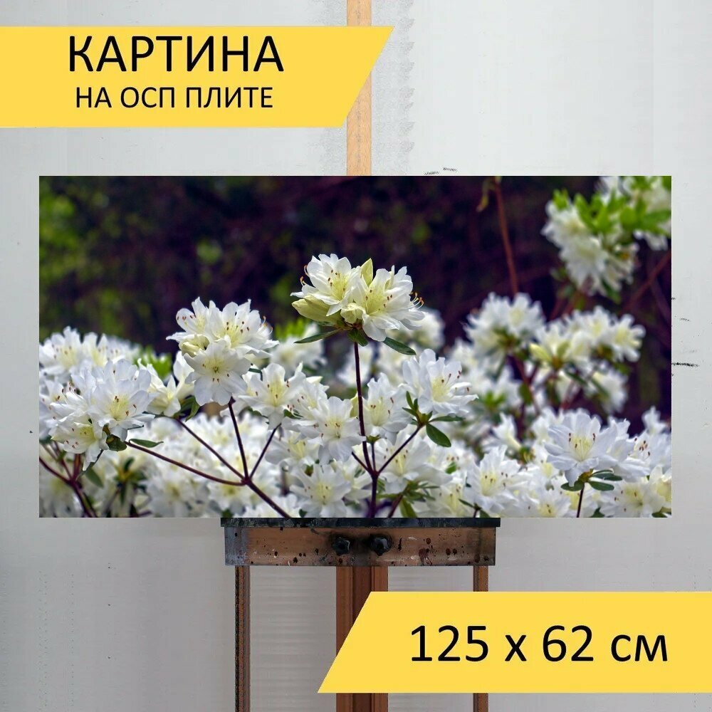 Картина на ОСП 125х62 см. 