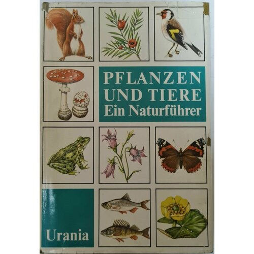 Pflanzen und Tiere Ein Naturfuhrer (Растения и животные. Путеводитель по природе) райххольф йозеф млекопитающие путеводитель по природе