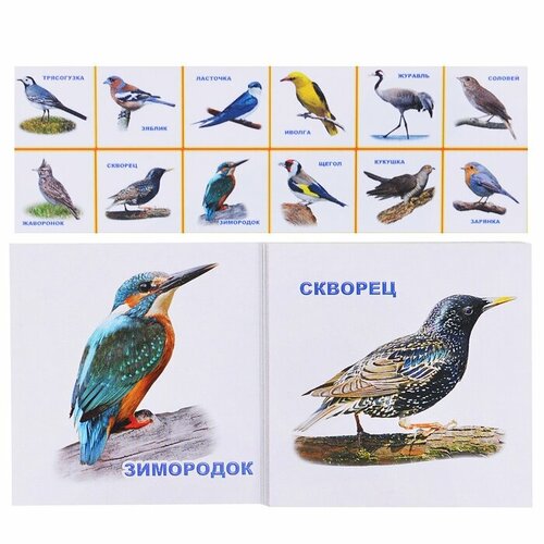 Обучающие карточки Леда Перелетные птицы (9785912829093)