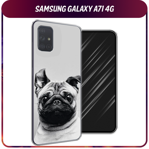 Силиконовый чехол на Samsung Galaxy A71 4G / Самсунг Галакси А71 4G Ушастый мопс силиконовый чехол ночные киты на samsung galaxy a71 4g самсунг галакси а71 4g