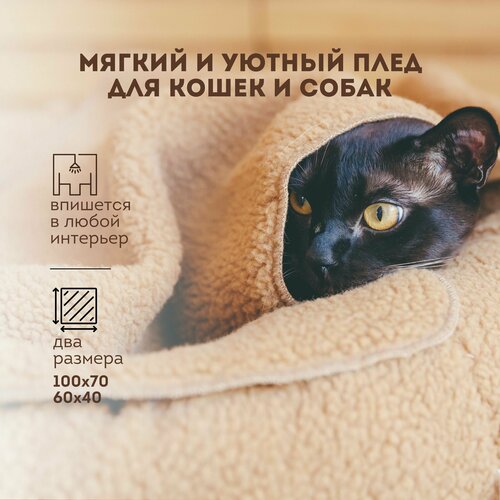 Плед для кошек 60х40 / плед для собак