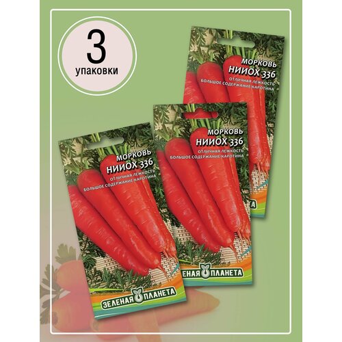 Морковь нииох 336 (3 пакета по 2гр)