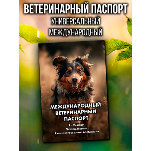 Ветеринарный паспорт для кошек и собак международный