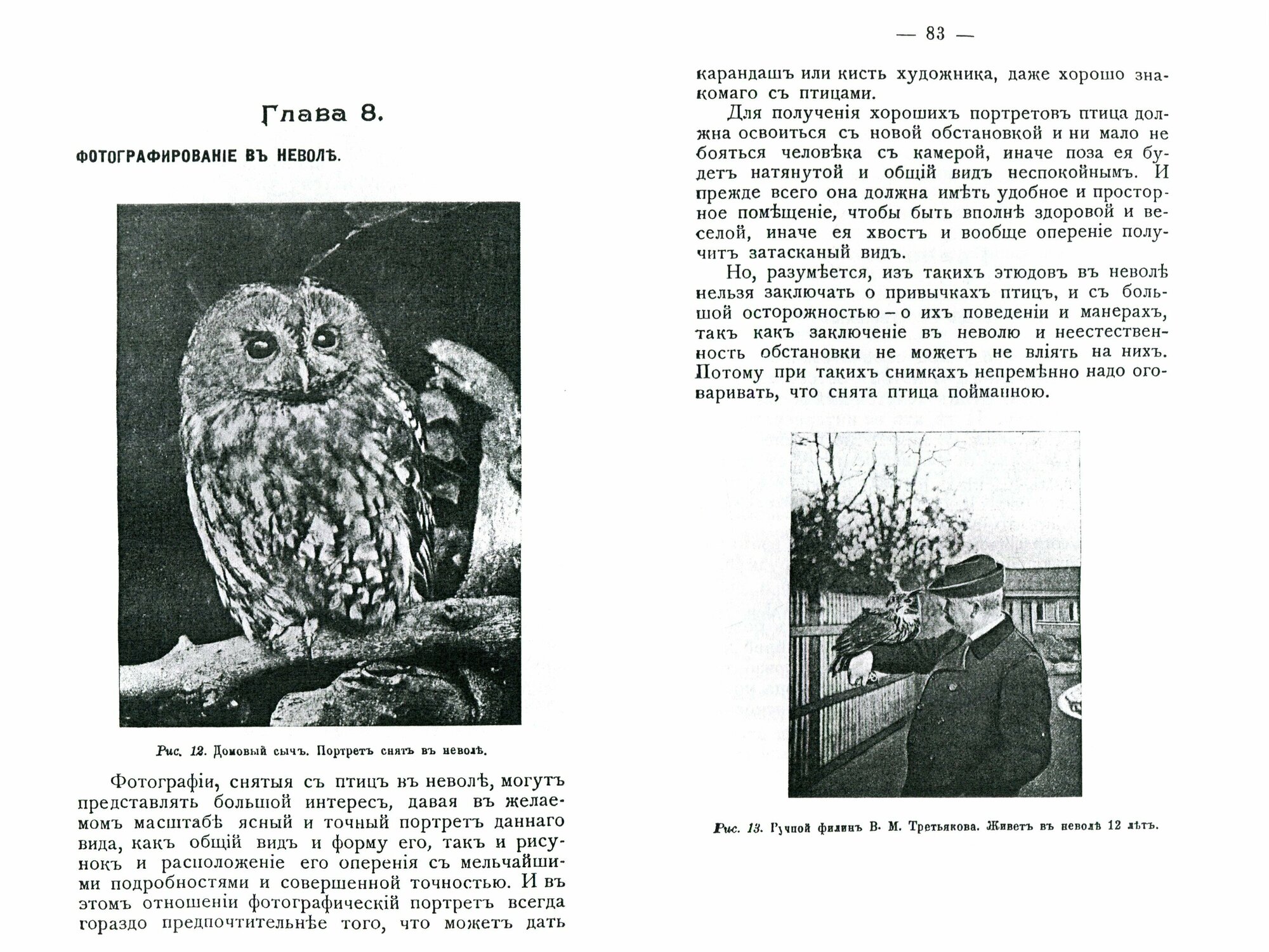 Охота с камерой. Фотографирование живой природы. В 2-х частях - фото №3