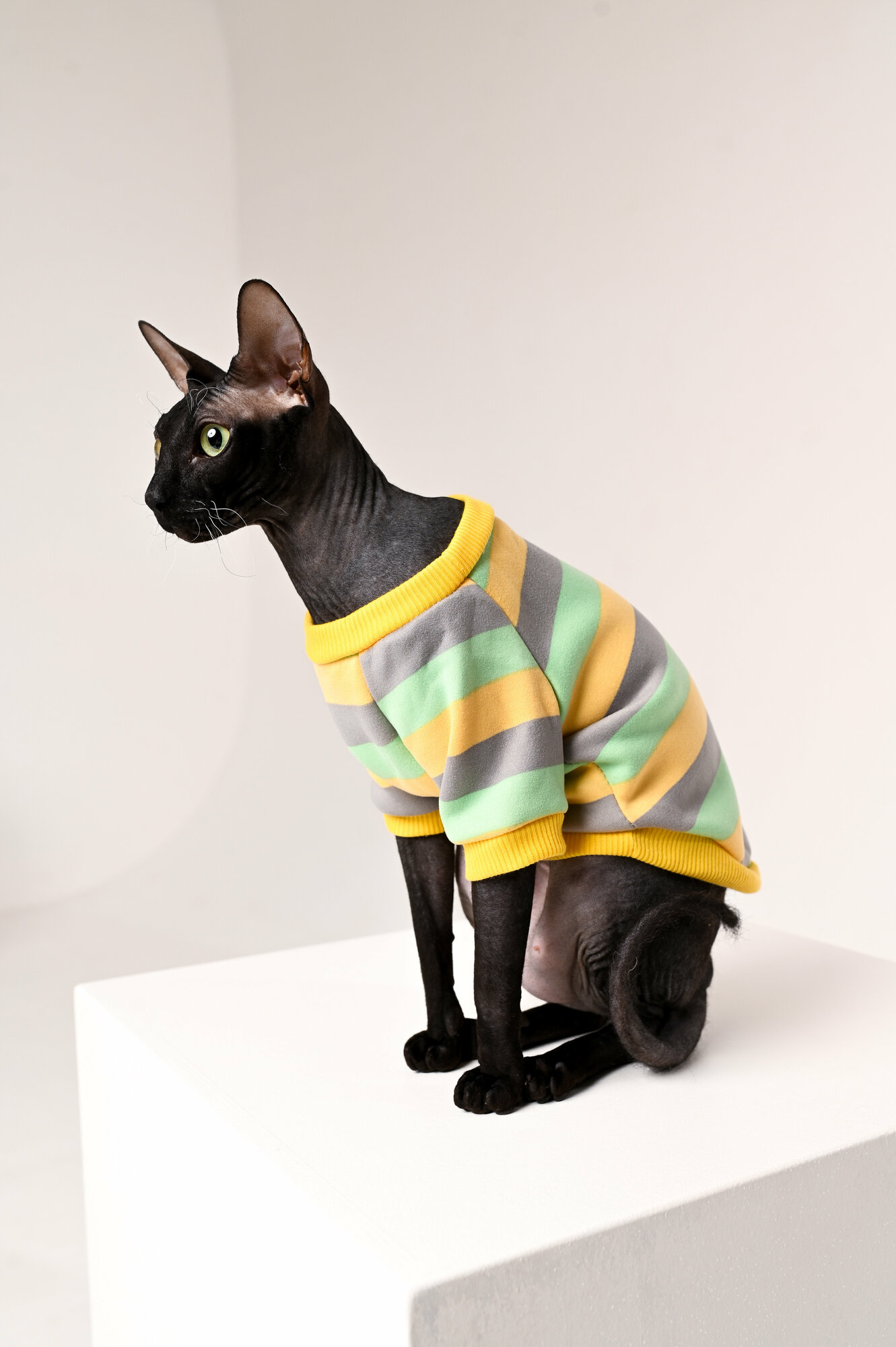 Одежда для кошек и собак мелких пород, утепленная - фотография № 7