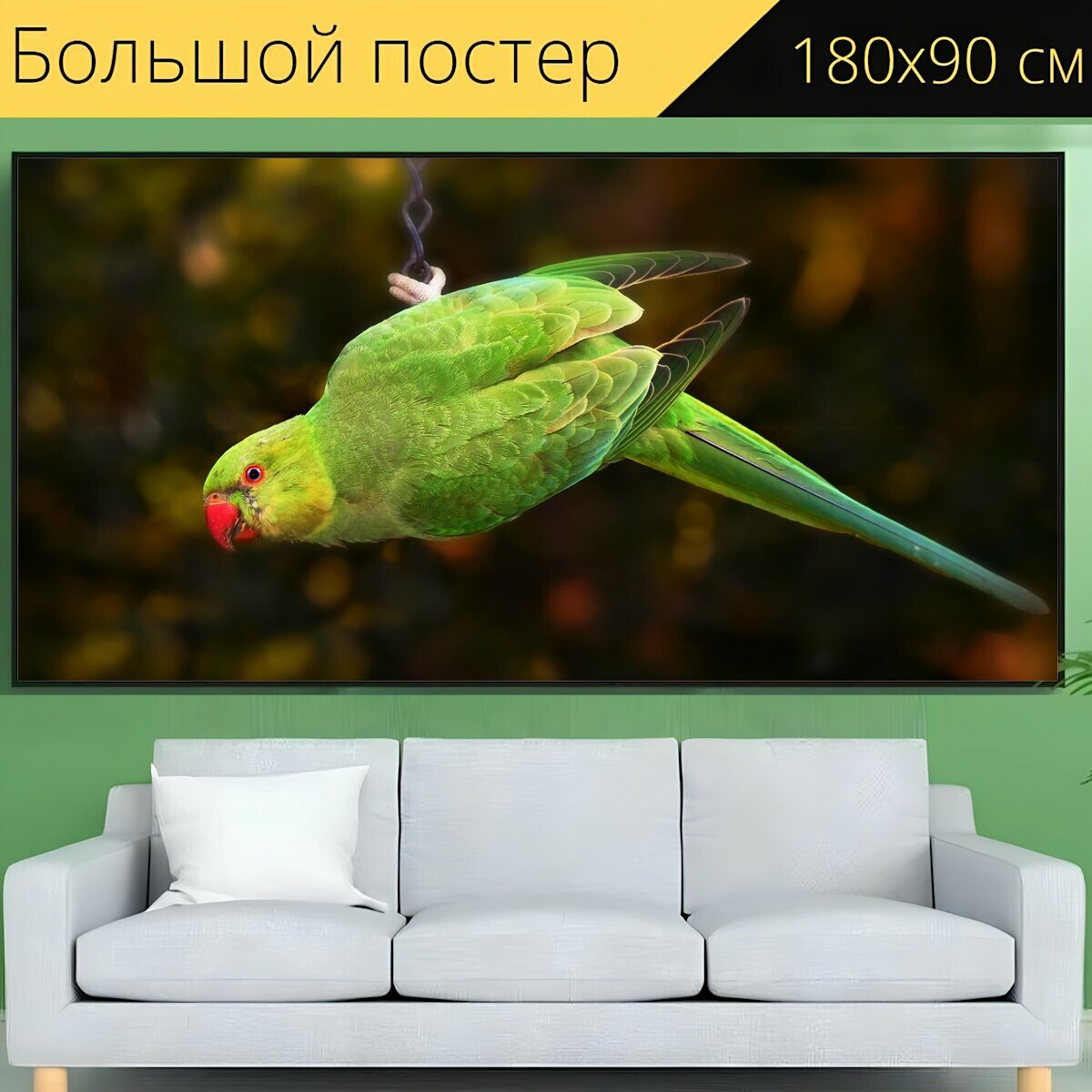Кольцо для большого попугая — купить по низкой цене на Яндекс Маркете