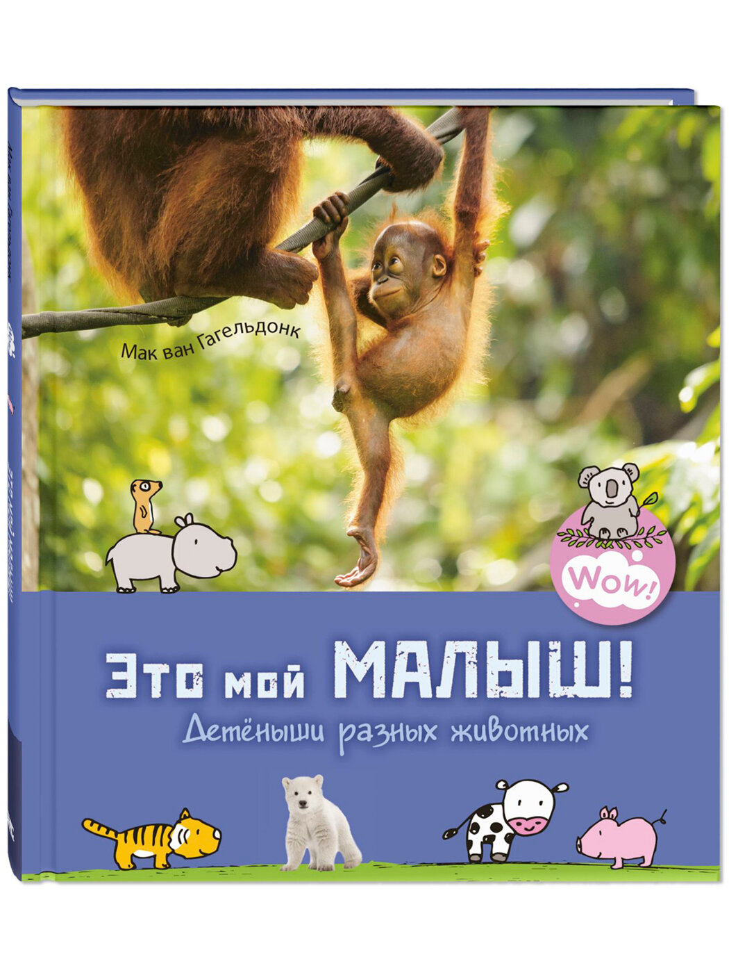 Книга Это мой малыш! Детёныши разных животных