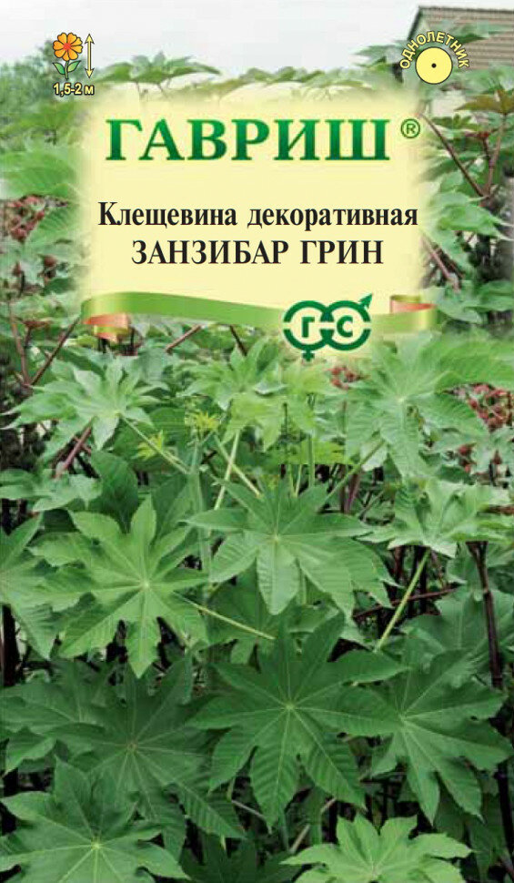 Семена Клещевина Занзибар Грин 5шт Гавриш Цветочная коллекция 10 пакетиков