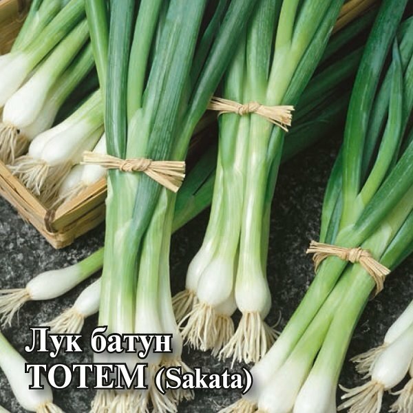 Семена Лук батун Тотем 25г Гавриш Фермерское подворье Sakata