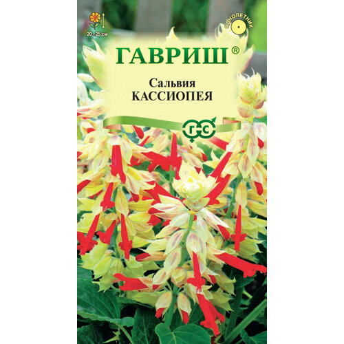 Семена Сальвия Кассиопея, 4шт, Гавриш, Цветочная коллекция, 10 пакетиков семена гипоэстес листоколосниковый капли акварели 4шт гавриш цветочная коллекция 10 пакетиков