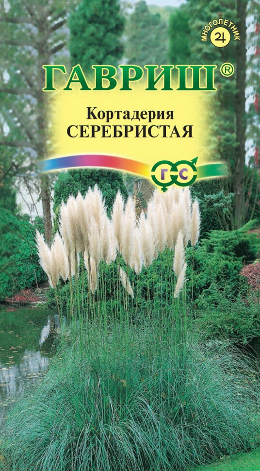 Семена Кортадерия (Пампасная трава) серебристая 8шт Гавриш Цветочная коллекция 10 пакетиков