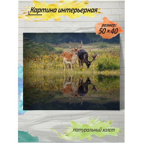 Картина готовая на холсте, 40x50, олень, c подрамником