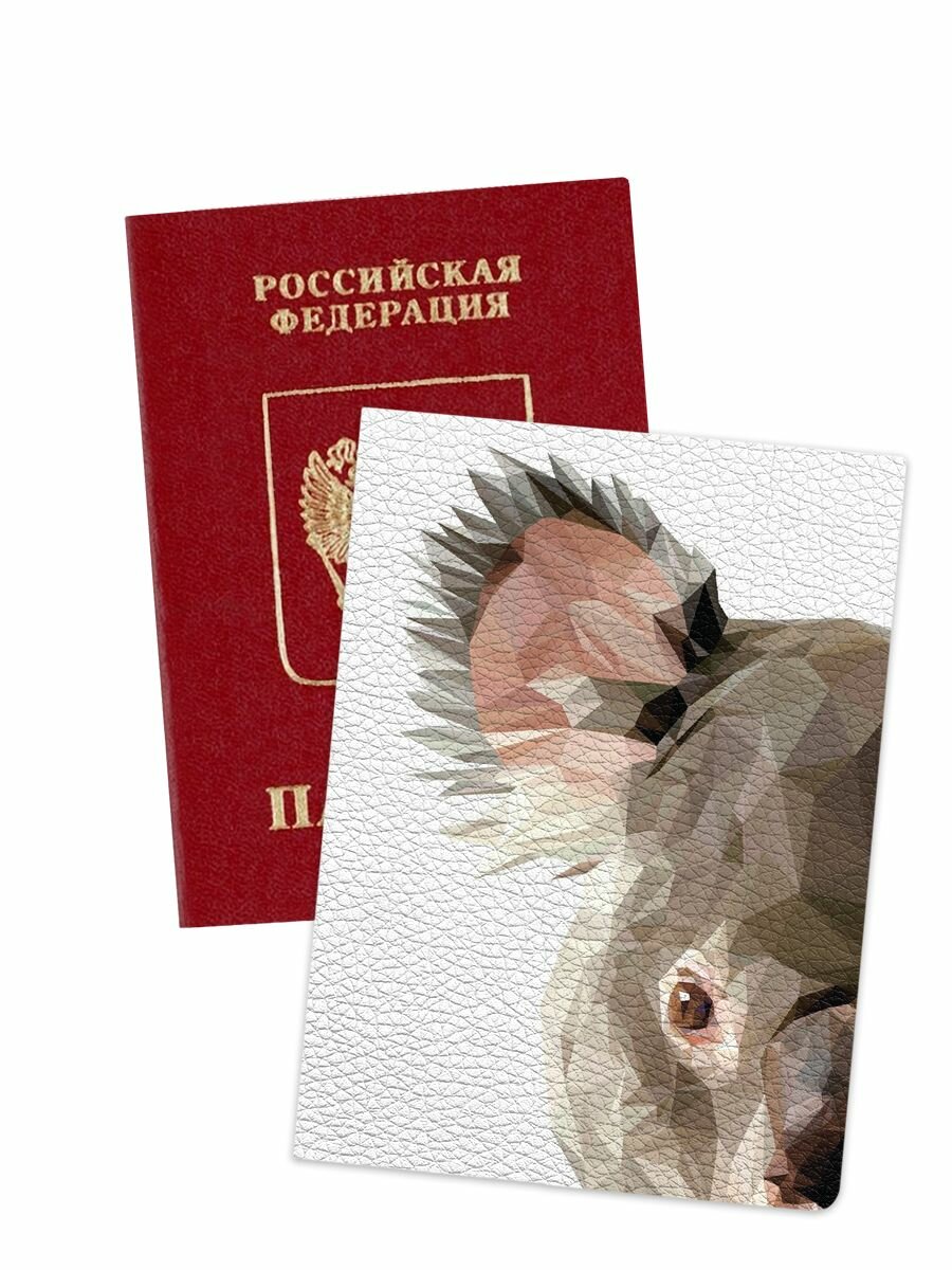 Обложка-карман для паспорта