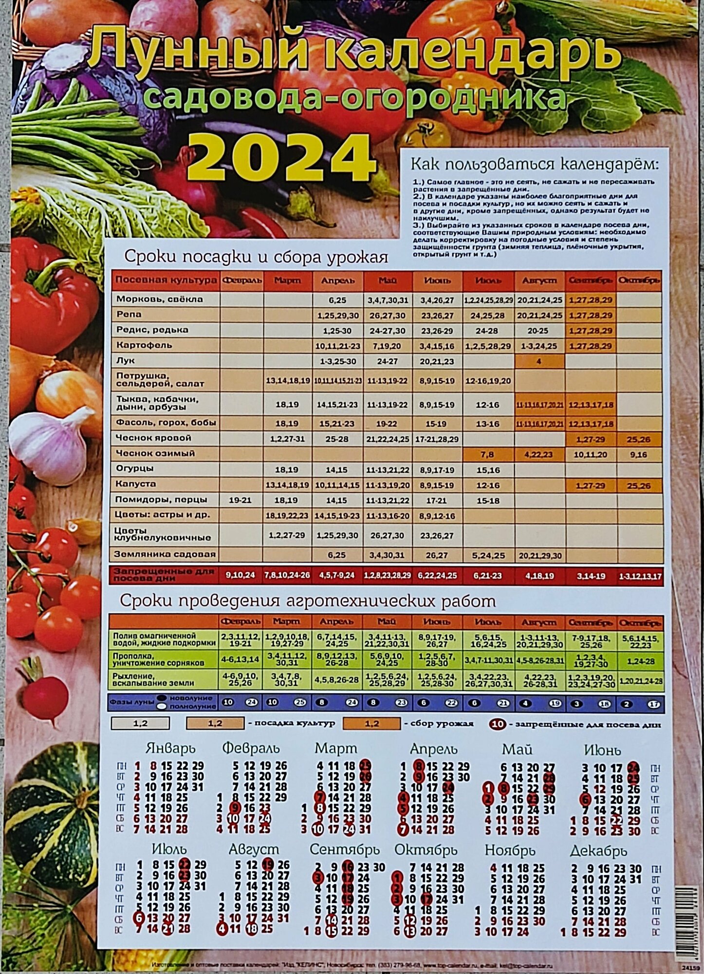 Календарь листовой 2024 год. Лунный календарь садовода-огородника. Овощи, Уф-лак, А2, Келинс 24159