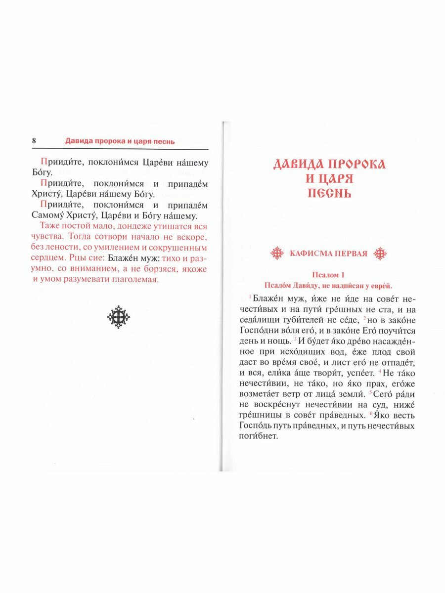 Псалтирь. Заупокойная лития мирским чином. Иные молитвословия - фото №9