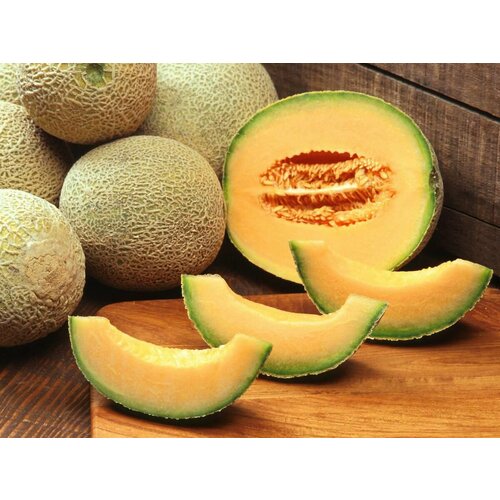 Дыня канталупа царская (лат. Cucumis melo var. cantalupensis) семена 20шт + подарочные семена