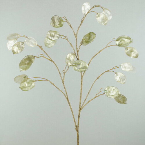 EDG Искусственная ветка Лунария 94 см зеленая 685001,70