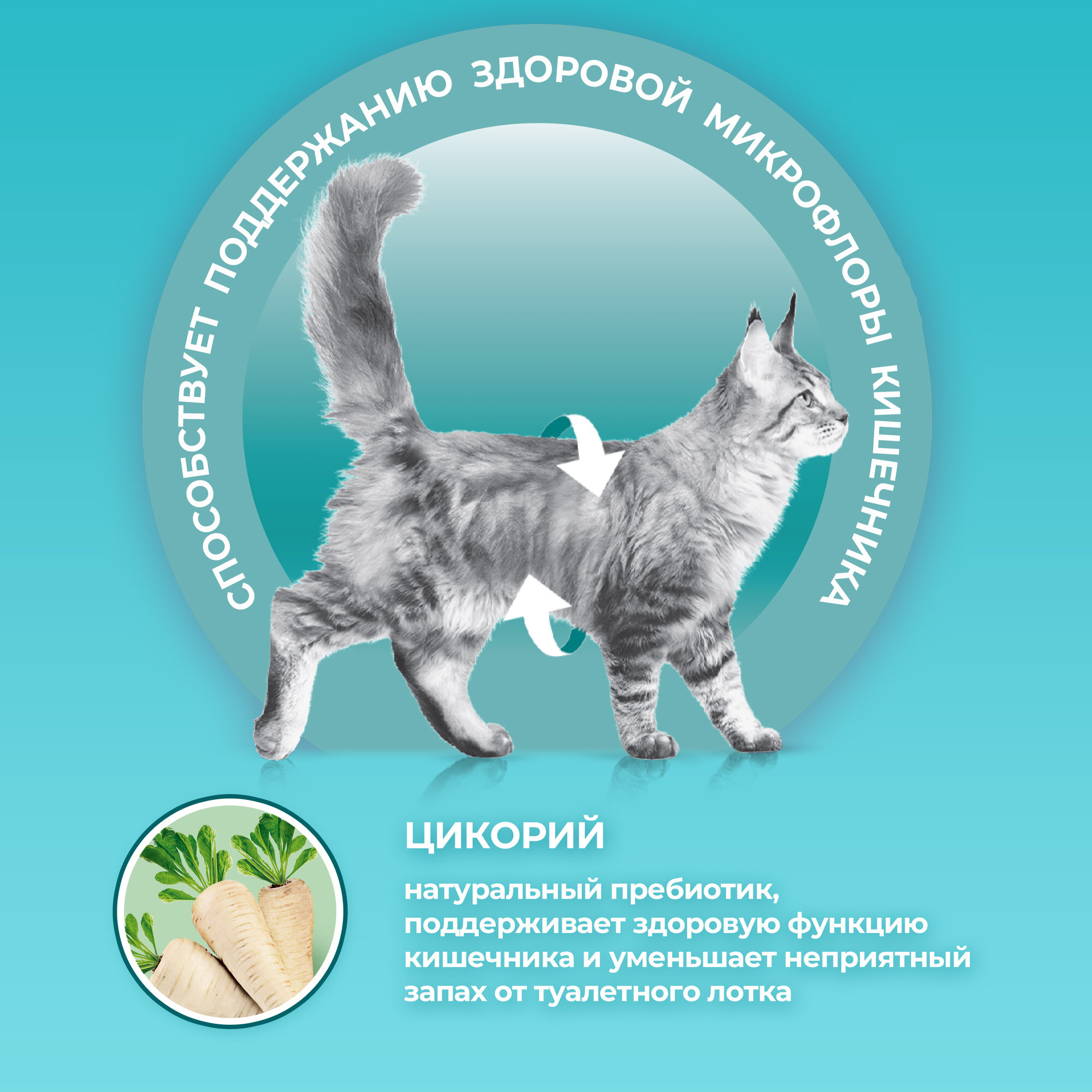 Purina One корм для домашних стерилизованных кошек и кастрированных котов Курица, 3 кг. - фотография № 2