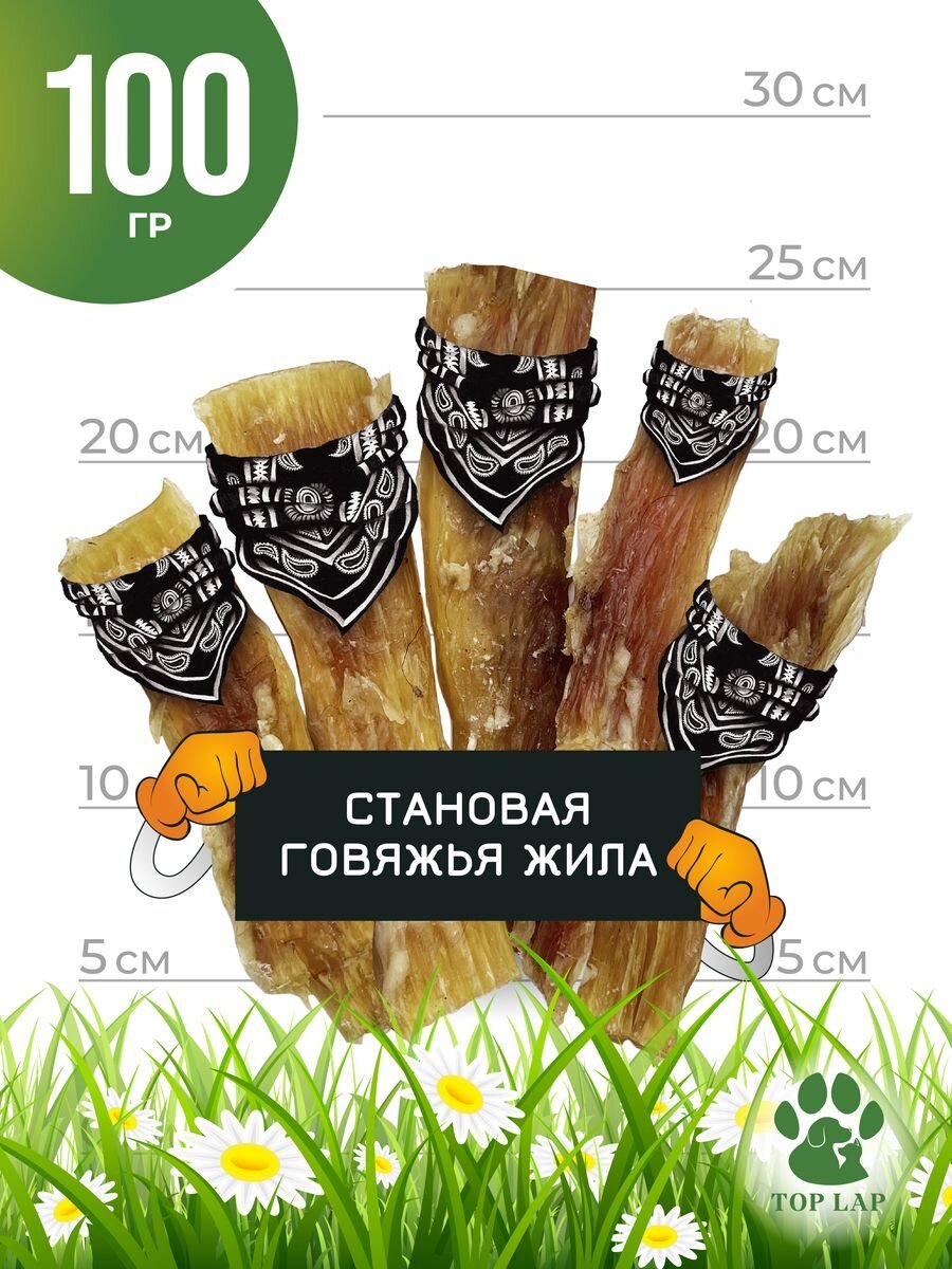 Становая жила говяжья 100 г