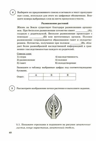 Биология Всероссийская проверочная работа 6 класс Типовые задания 15 вариантов - фото №3