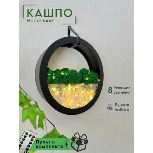 Кашпо - ночник со мхом 3536₽