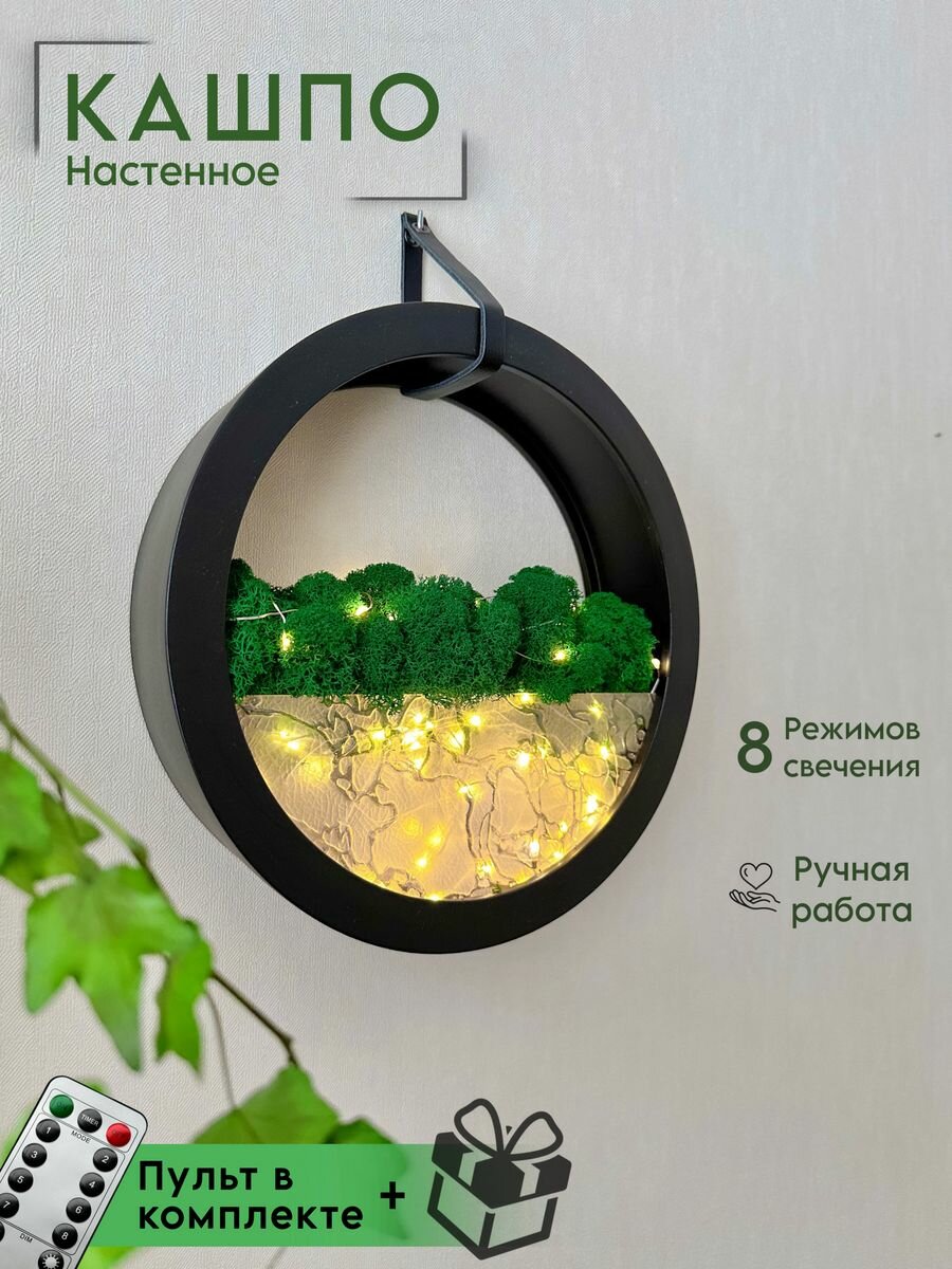 фото Кашпо - ночник со мхом