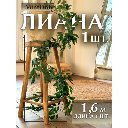 Эвкалипт MintOnly 1,6 м