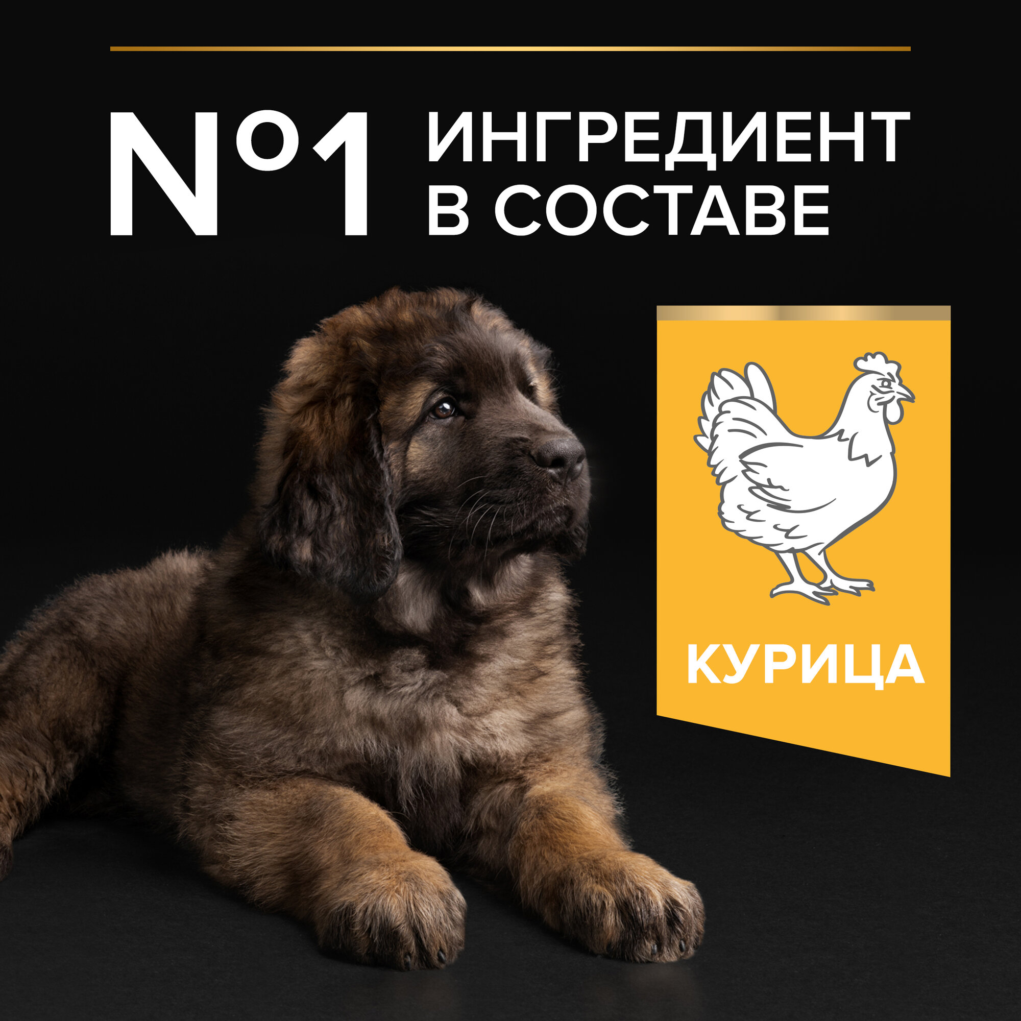 Сухой корм PRO PLAN® HEALTHY START для щенков крупных пород с мощным телосложением, c курицей, 12 кг — фото 1