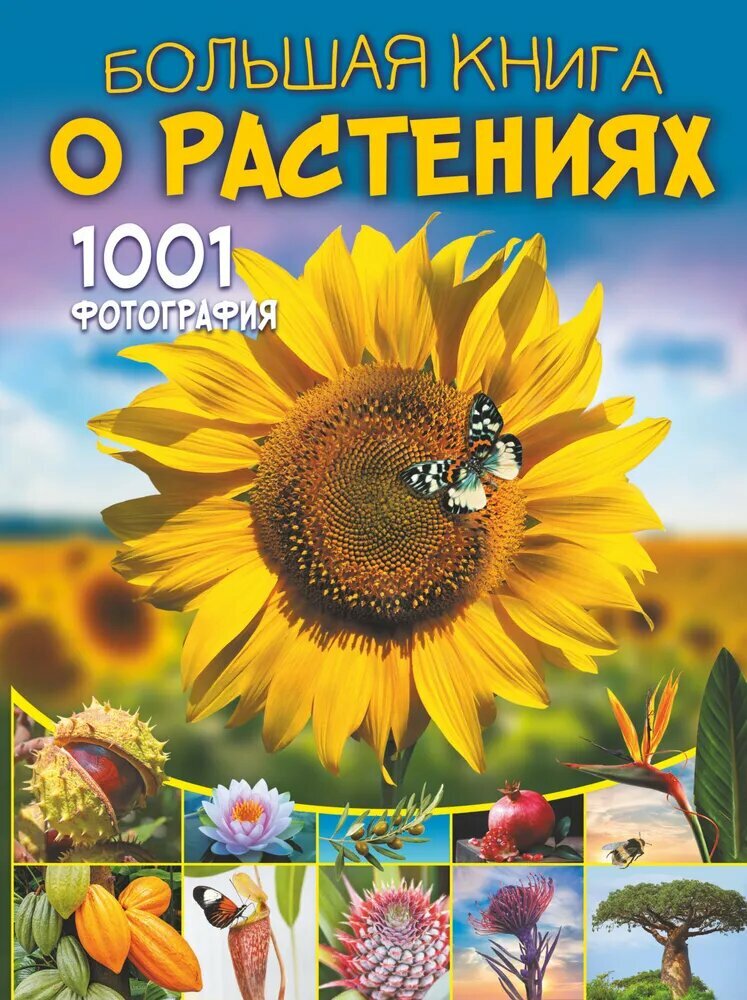 Спектор А. А. Большая книга о растениях. 1001 фотография