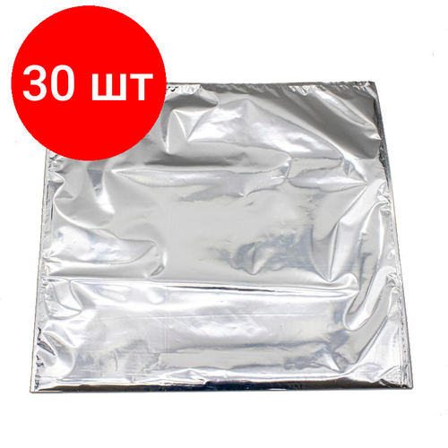 Комплект 30 штук, Термопакет БИГ стандарт без ручки 600х550 мм Металл/ПВД, тпкбр.06