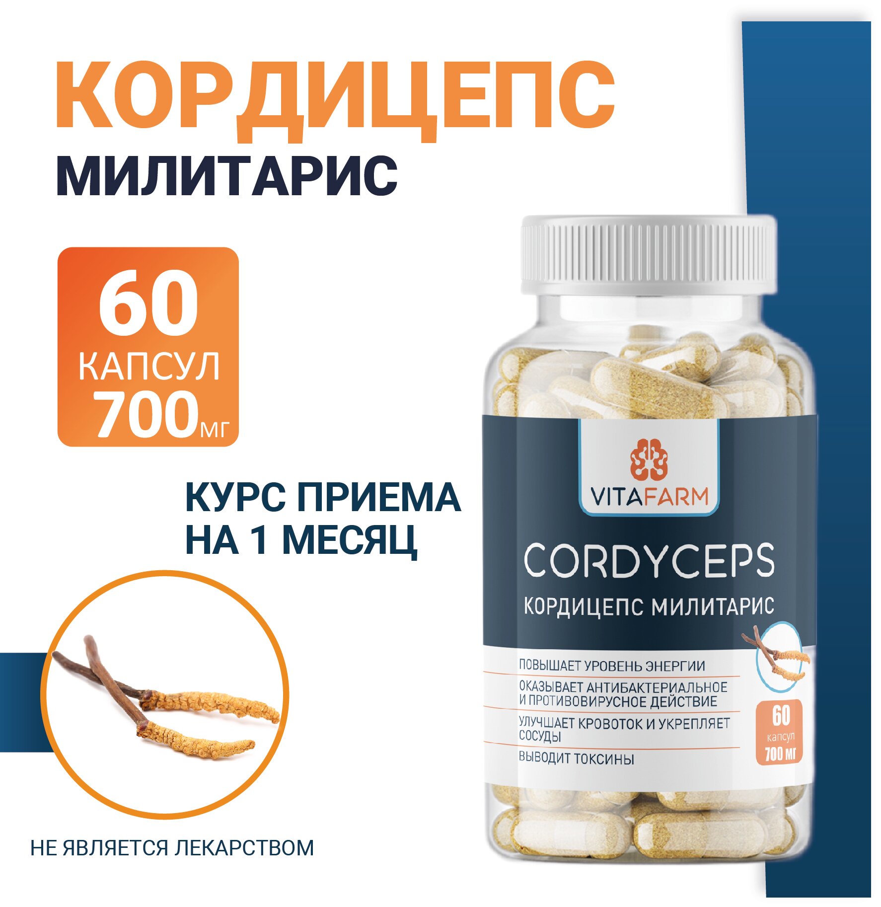 Кордицепс милитарис (Cordyceps militaris) капсулы 60 шт/ 700 мг