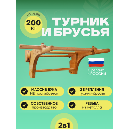 Турник настенный для дома Backwood