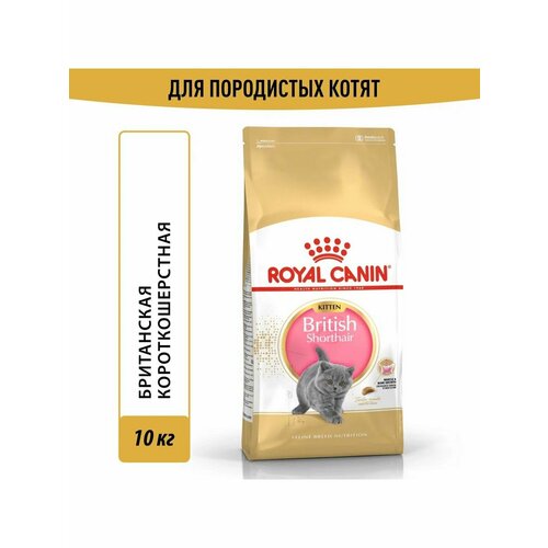 Сухой корм Royal Canin British Shorthair Kitten 10кг