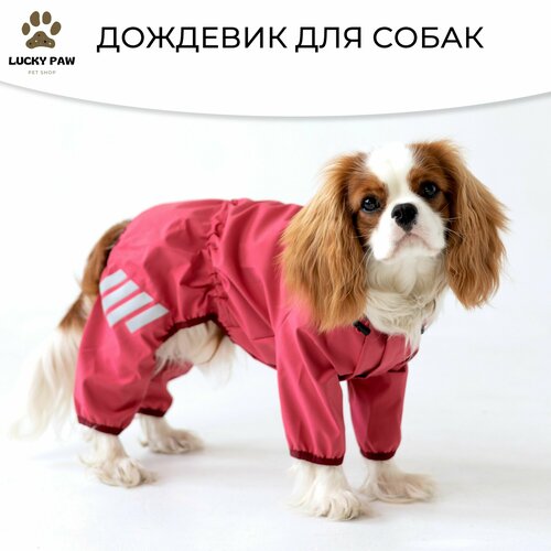 Одежда для собак, дождевик комбинезон для малых и средних пород