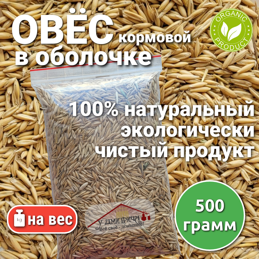 Овёс для птиц и зверей кормовой/ 500 грамм/ для проращивания сидерат