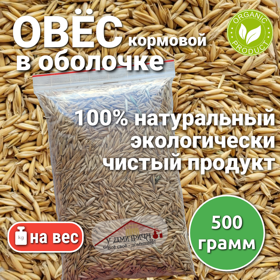 Овёс для птиц и зверей кормовой/ 500 грамм/ для проращивания, сидерат