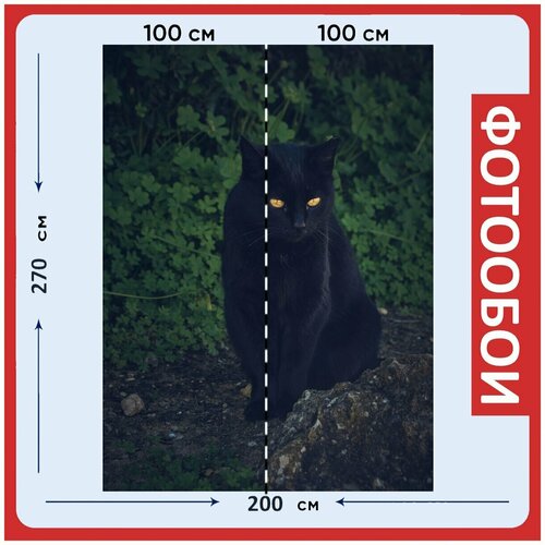 Фотообои Кошка черный кот домашний питомец 200x270 см флизелиновыена стену 2940₽