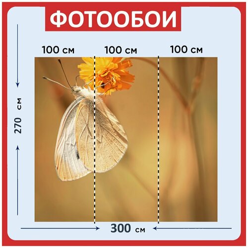 Фотообои Бабочка белый насекомое 300x270 см флизелиновыена стену 3960₽