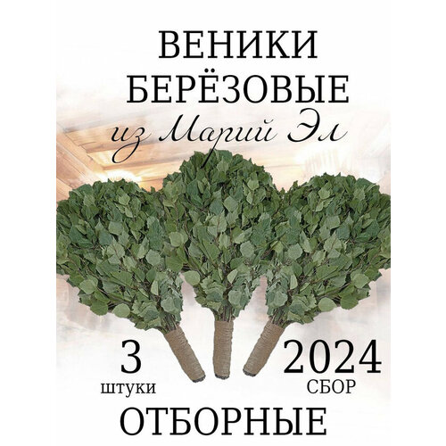 Веники для бани из Марий Эл отборные с ручкой из джута 3 штуки в коробке 1990₽