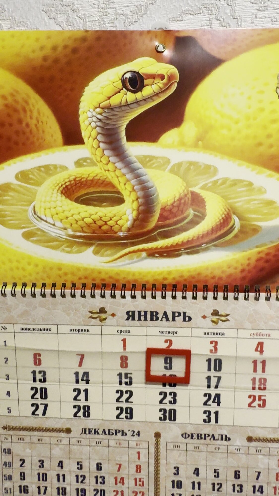 Календарь настенный 2025 Символ года, 300х420 мм. — фото 1
