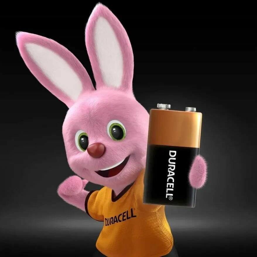 Батарейка Duracell Крона 6LR61 Basic, 9В, щелочная, блистер, защита от детей — фото 1