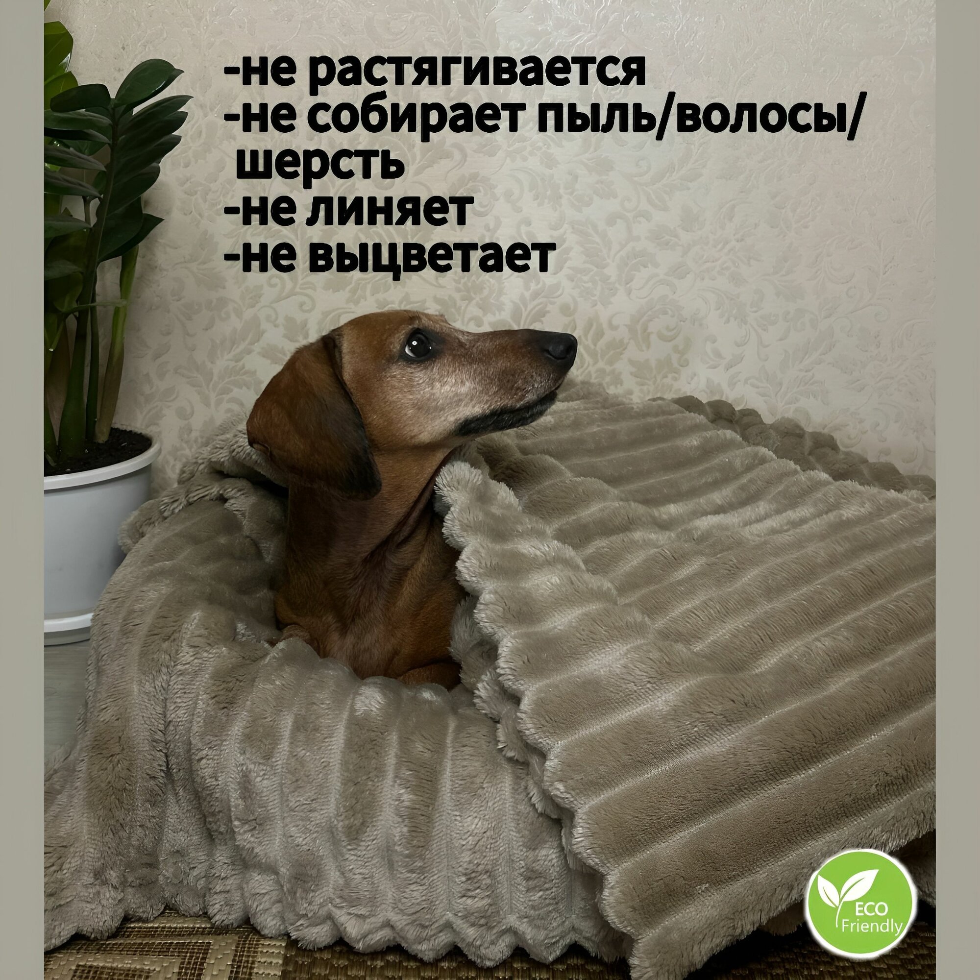 Плед для животных, кошек и собак, мелких и средних пород — фото 1