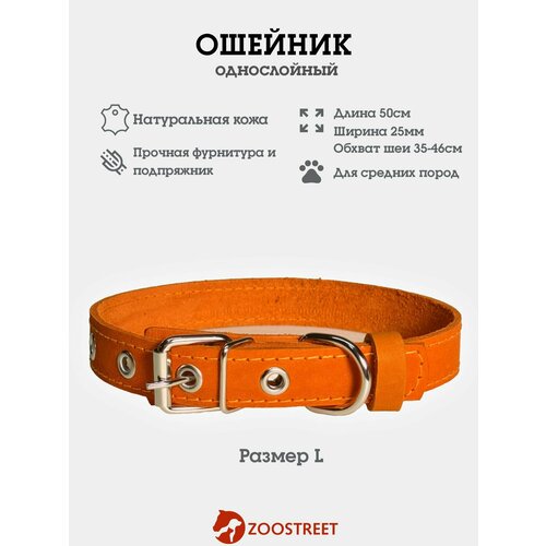 Ошейник для собак средних пород кожаный, однослойный, 25мм, 50см, с подпряжником L