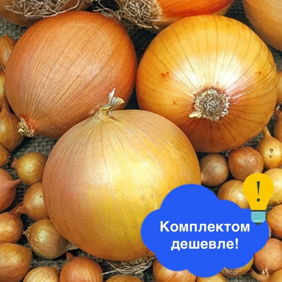 Лук-севок Шетана МС разбор 14/22 0.5 кг